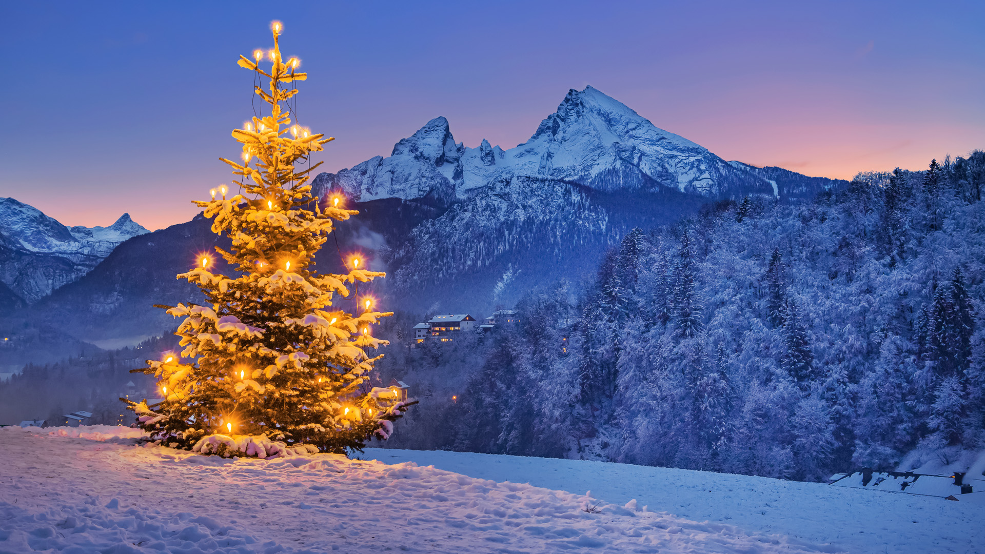Grand sapin illuminé dans un paysage de neige